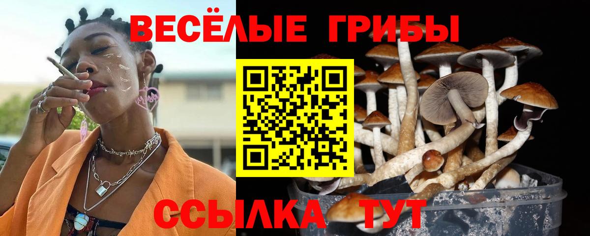Нурлат  Псилоцибиновые грибы MAGIC MUSHROOMS  Вход с VPN 